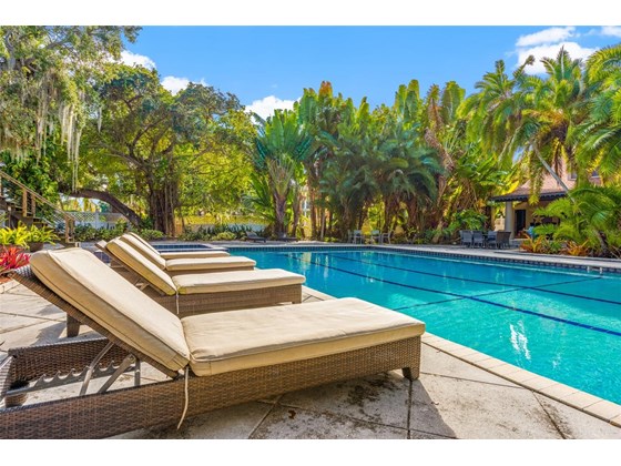 Personal Olympic Size Swimming Pool - Single Family Home for sale at 5030 Sunrise Dr S, St Petersburg, FL 33705 - MLS Number is U8146766
